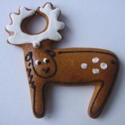 Img 4748