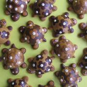 Img 4477