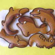 Img 4684