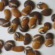 Img 4568