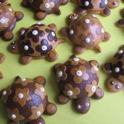 Img 4474