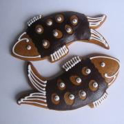 IMG 4784